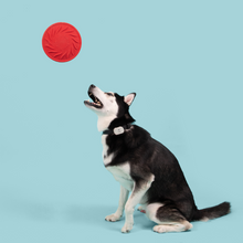 Load image into Gallery viewer, Jolly Tuff Flyer