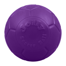 Load image into Gallery viewer, Jolly Soccer Ball