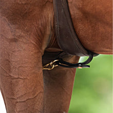 Load image into Gallery viewer, MARTINGALE Victor Supreme Bob Hart Adjustable Arabian Training Martingale
