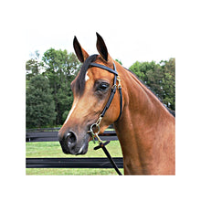 Load image into Gallery viewer, BRIDLE Billy Royal Arabian Training Bridle