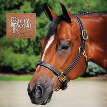 Load image into Gallery viewer, Billy Royal® Belmont Leather Halter