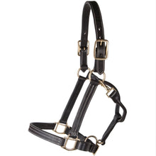 Load image into Gallery viewer, Billy Royal® Belmont Leather Halter