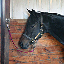 Load image into Gallery viewer, Dura-Tech® Double Ply Adjustable Nylon Trailer Ties