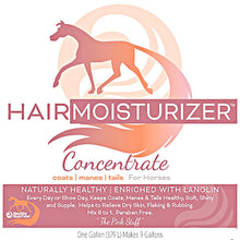 Load image into Gallery viewer, Healthy Hair Care Moisturizer