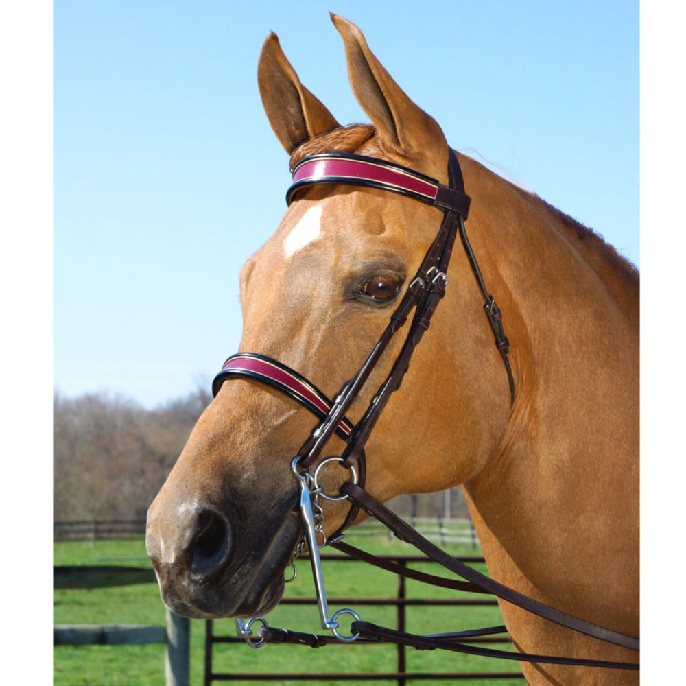 Bride dressage cob et couvre reins Bride dressage cob et couvre reins