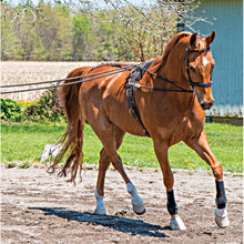 Load image into Gallery viewer, LONG LINES Dura-Tech® MCR Long Lines 30'