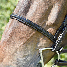 Load image into Gallery viewer, Silver Spur Hand Braided Snaffle Bridle