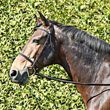 Load image into Gallery viewer, Silver Spur Hand Braided Snaffle Bridle