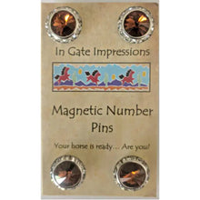 Load image into Gallery viewer, Magnetic Swarovski Crystal Number Holders