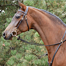 Load image into Gallery viewer, Victor Supreme® Bob Hart Training Bridle