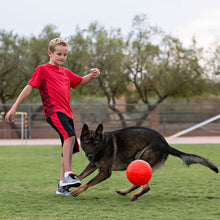 Load image into Gallery viewer, Jolly Soccer Ball
