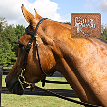 Load image into Gallery viewer, BRIDLE Billy Royal Arabian Training Bridle
