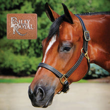 Load image into Gallery viewer, Billy Royal® Belmont Leather Halter
