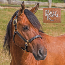 Load image into Gallery viewer, Billy Royal® Belmont Leather Halter

