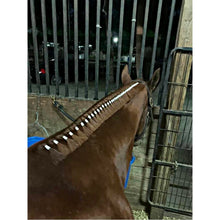 Load image into Gallery viewer, Super Bands Horse Hair Braid Bands
