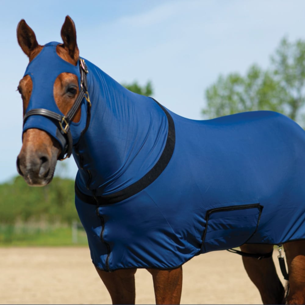 Lenzuola In Lycra Per Cavallo Con Copertura Completa Testa E Collo - Traspirante E Lavabile