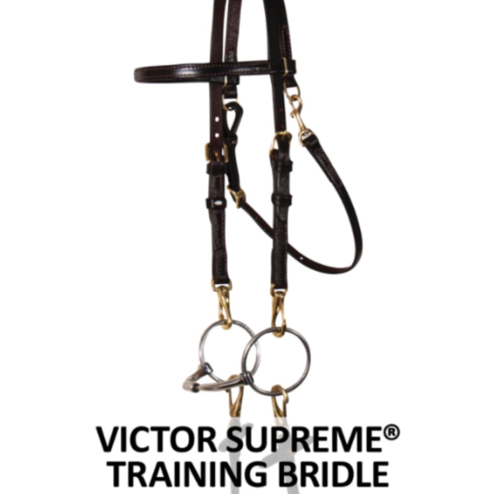 Victor Supreme® Bob Hart Training Bridle